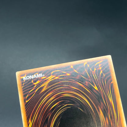 遊戯王　魔法の国の王女－ピケル/レリーフ/ドイツ/EU版