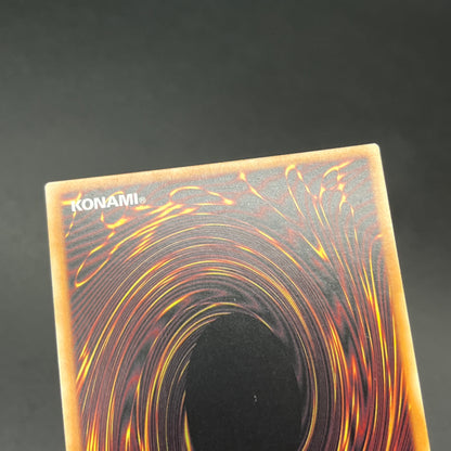 遊戯王　ドラゴンメイド・チェイム/シークレット/英語/1st