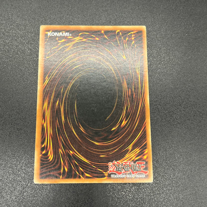 遊戯王 アマゾネスの剣士/スーパー/ドイツ/EU