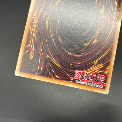 遊戯王　ドラゴンメイド・チェイム/シークレット/英語/1st