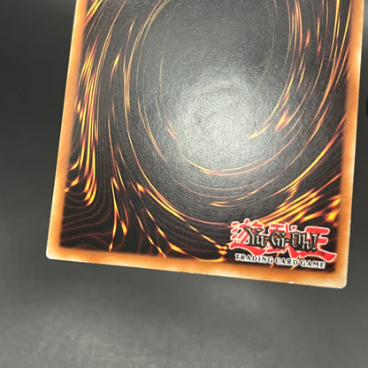 遊戯王　銀河眼の光子龍/レリーフ/ドイツ/1st/EU