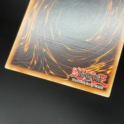 遊戯王　ゲーテの魔導書/レリーフ/イタリア/EU版