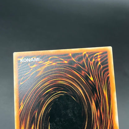 遊戯王　超雷龍－サンダー・ドラゴン/レリーフ/フランス/EU版