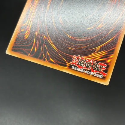 遊戯王　Ｍ∀ＬＩＣＥ＜Ｐ＞Ｄｏｒｍｏｕｓｅ/コレクターズ/英語/1st/EU