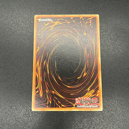 遊戯王　闇魔界の竜騎士 ダークソード/レリーフ/ドイツ語/EU