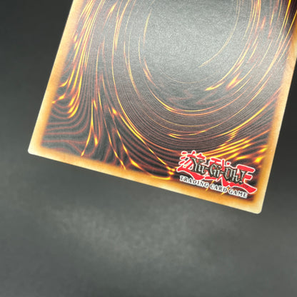 遊戯王　ドラゴンメイド・チェイム/シークレット/英語/1st