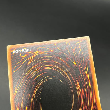 遊戯王　悪魔竜ブラック・デーモンズ・ドラゴン/レリーフ/イタリア/1st/EU版