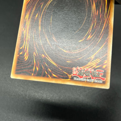 遊戯王　ピケルの魔法陣/レリーフ/ドイツ/EU版