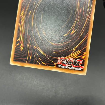 遊戯王　闇の護封剣/レリーフ/ドイツ語/EU版