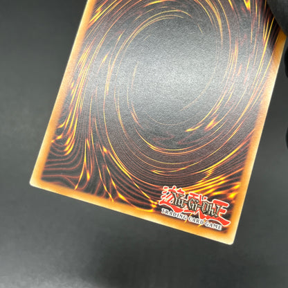 遊戯王　幻魔の殉教者/レリーフ/ドイツ語/EU版