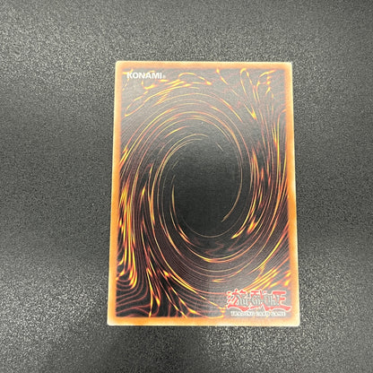 遊戯王　Ｄｒａｇｏｏｎ Ｄ－ＥＮＤ/レリーフ/ドイツ語/EU版