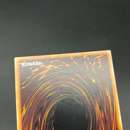 遊戯王　ドラゴンメイド・チェイム/シークレット/英語/1st