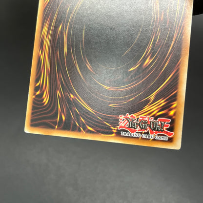 遊戯王　奇跡の蘇生/レリーフ/ドイツ語/EU版