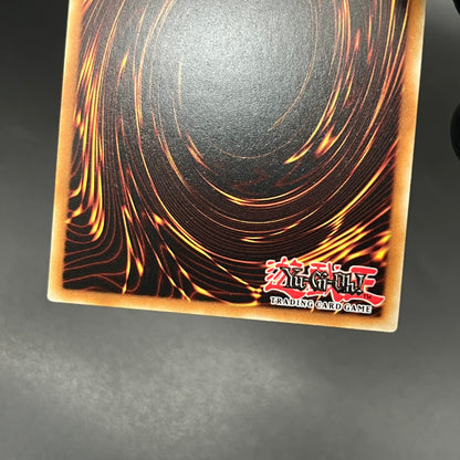 遊戯王　ドラスティック・ドロー/コレクターズ/英語/1st/EU版