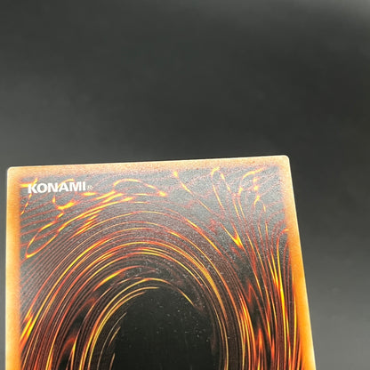 遊戯王　聖殿の水遣い/コレクターズ/英語/1st/EU版