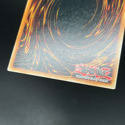 遊戯王　星辰槍手ルキアス/コレクターズ/英語/1st/EU版