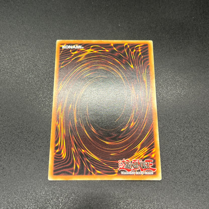 遊戯王　鎧黒竜－サイバー・ダーク・ドラゴン/レリーフ/ドイツ/1st/EU版