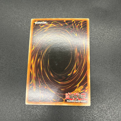 遊戯王　漆黒の豹戦士パンサーウォリアー/シークレット/ドイツ/EU