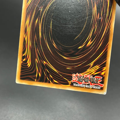 遊戯王　鳳凰神の羽根/レリーフ/ドイツ/EU版