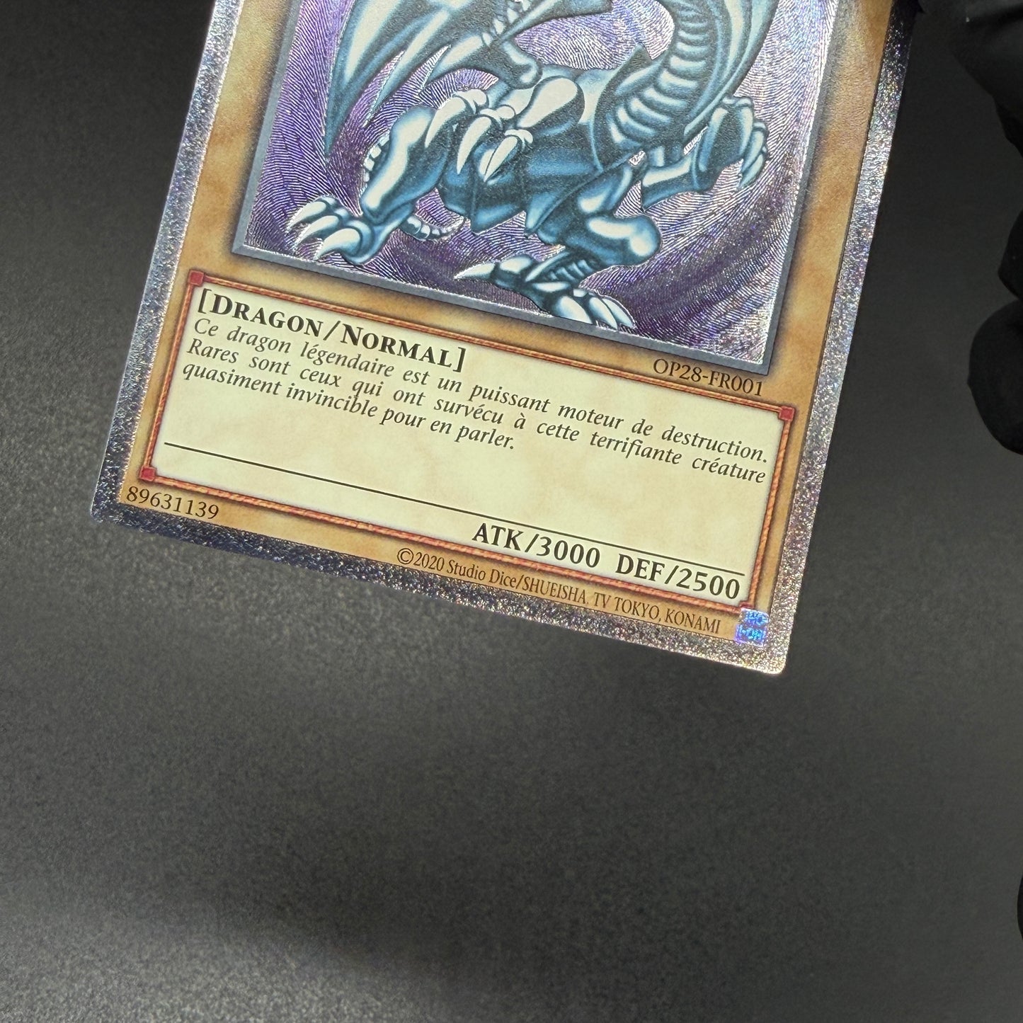 遊戯王　青眼の白龍/レリーフ/フランス語/EU版