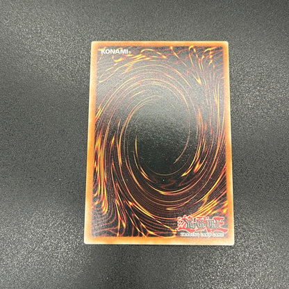 遊戯王　ブラック・マジシャン・ガール/シークレット/フランス語/1st