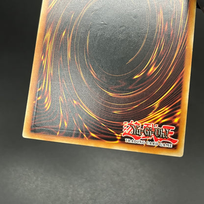 遊戯王　氷結界の龍 トリシューラ/レリーフ/ドイツ/EU版