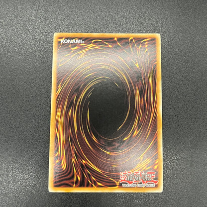 遊戯王　スカル・マイスター/シークレット/英語/北米版