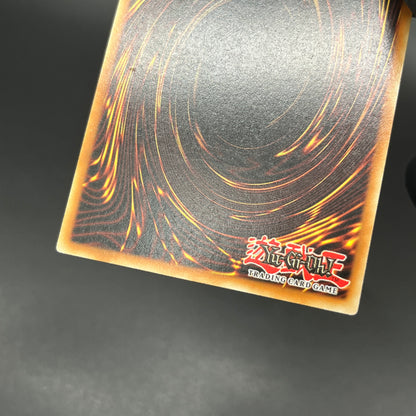 遊戯王　天罰/レリーフ/ドイツ/EU版