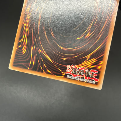 遊戯王　漆黒の魔王 ＬＶ６/レリーフ/ドイツ語/1st/EU