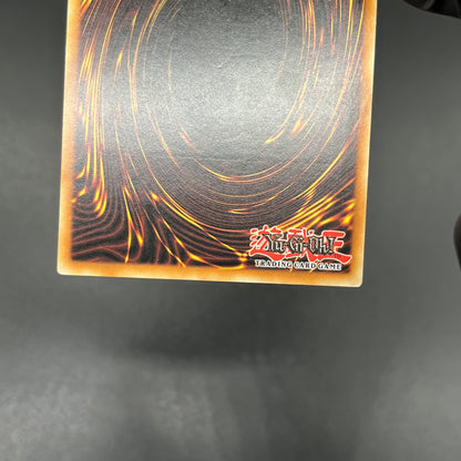 遊戯王　異次元の落とし穴/レリーフ/ドイツ語/EU版