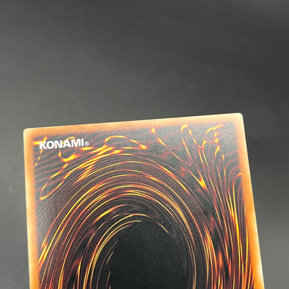 遊戯王　ダーク・ネフティス/レリーフ/ドイツ語/1st/EU版