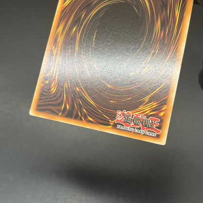 遊戯王　白き森のアステーリャ/クオシク/英語/1st/北米版