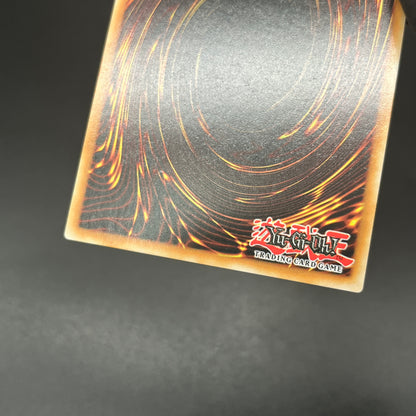 遊戯王　騎士皇レガーティア/コレクターズ/英語/1st/EU版