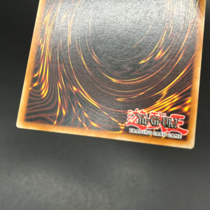 遊戯王　緑光の宣告者/レリーフ/イタリア語/EU版