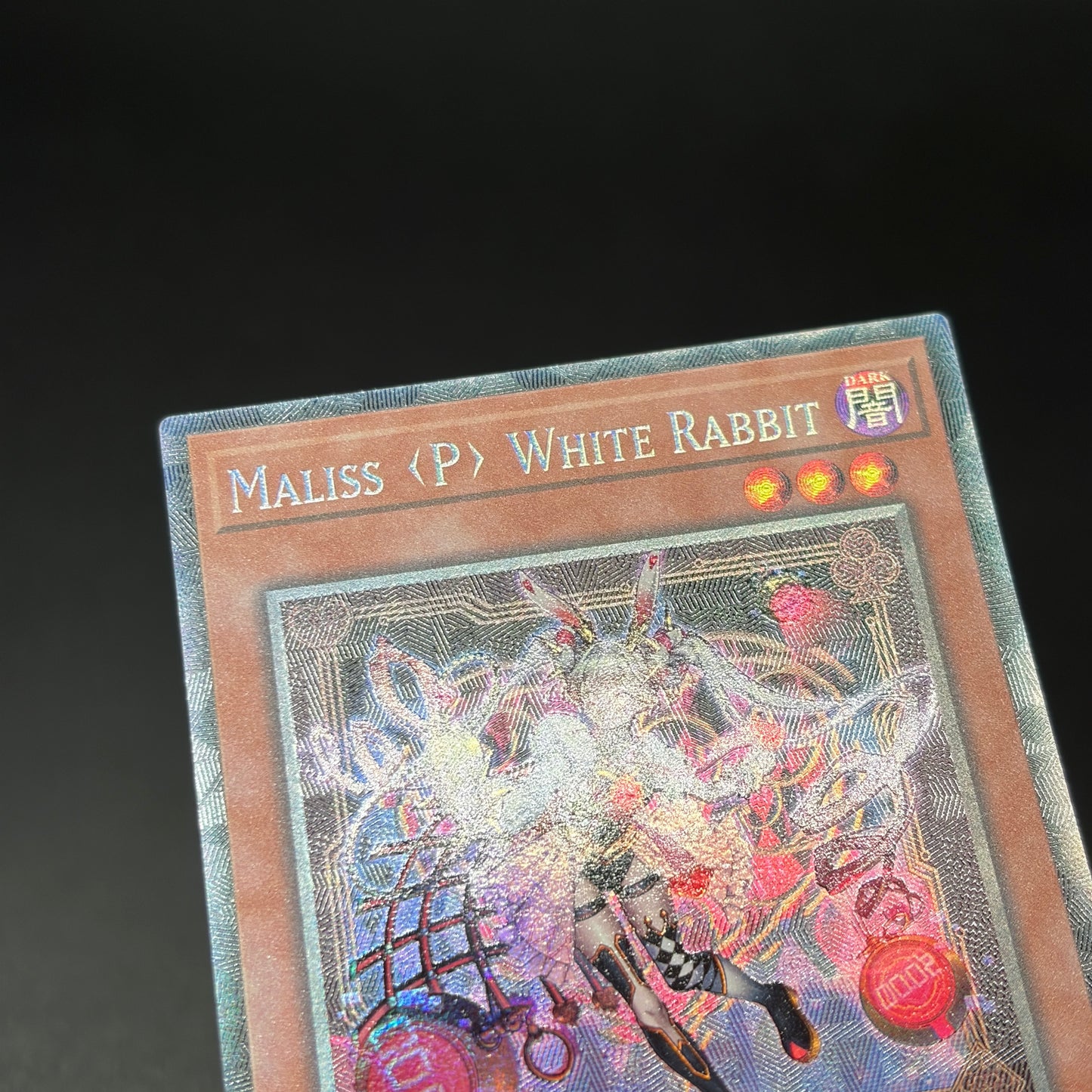 遊戯王　Ｍ∀ＬＩＣＥ＜Ｐ＞Ｗｈｉｔｅ Ｒａｂｂｉｔ/コレクターズ/英語/1st/EU