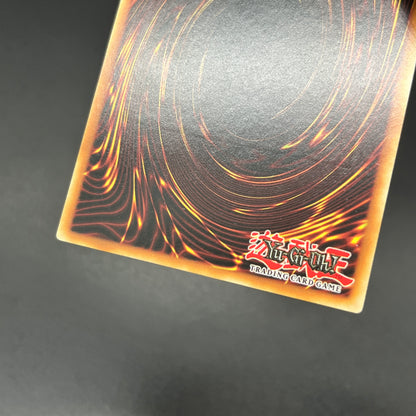 遊戯王　サイバーポッド/レリーフ/イタリア語/EU版