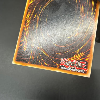 遊戯王　ホーリー・ナイト・ドラゴン/シークレット/英語