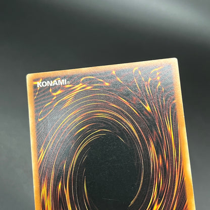 遊戯王　マスターモンク/レリーフ/ドイツ語/1st/EU版