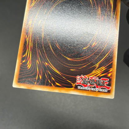 遊戯王　レッドアイズ・ブラックメタルドラゴン/シークレット/スペイン/EU版