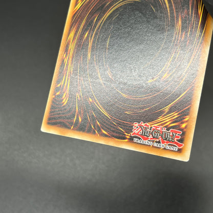 遊戯王　メガロック・ドラゴン/レリーフ/ドイツ/1st/EU版