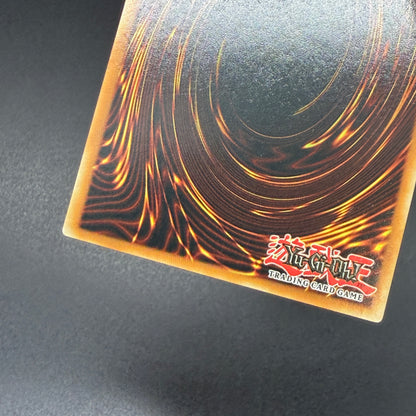 遊戯王　ビッグウェルカム・ラビュリンス/レリーフ/英語/EU版