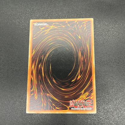 遊戯王　ダーク・アームド・ドラゴン/シークレット/英語/1st/EU版