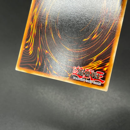 遊戯王　ホーリー・ナイト・ドラゴン/シークレット/英語