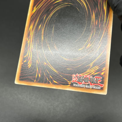 遊戯王　サイクロン・ブーメラン/レリーフ/ドイツ語/EU版