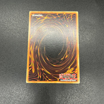 遊戯王　サイバー・シャドー・ガードナー/レリーフ/ドイツ語/1st/EU