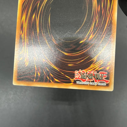 遊戯王　Ｅ・ＨＥＲＯ ワイルドジャギーマン/レリーフ/ドイツ語/EU版