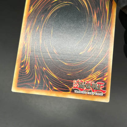 遊戯王　Ｎｏ.１０７ 銀河眼の時空竜/レリーフ/英語/EU版