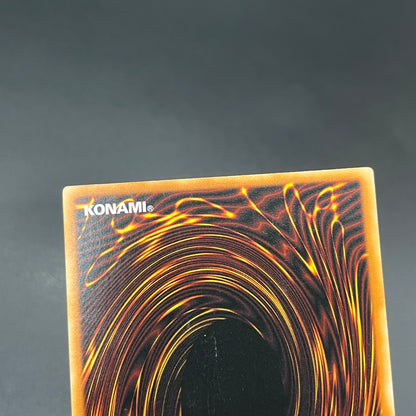 遊戯王　伝説の黒帯/レリーフ/ドイツ語/1st/EU版