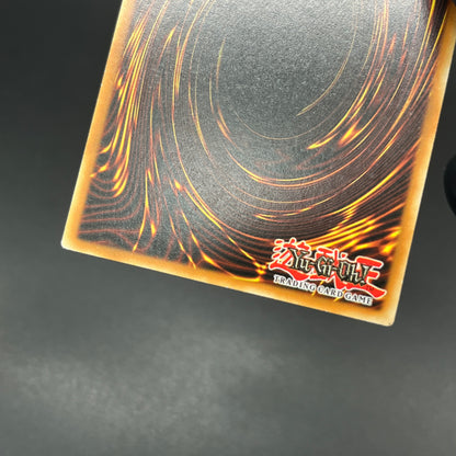 遊戯王　天罰/レリーフ/ドイツ/EU版