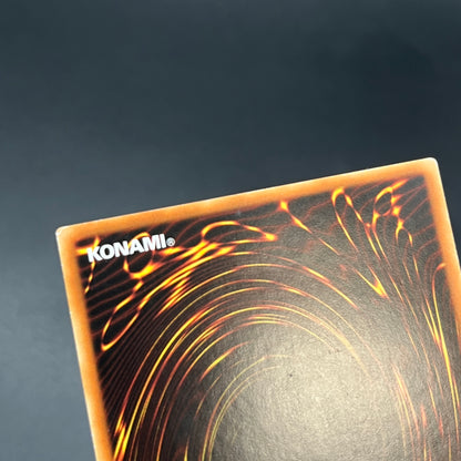 遊戯王　サンダー・エンド・ドラゴン/レリーフ/ドイツ/1st/EU版